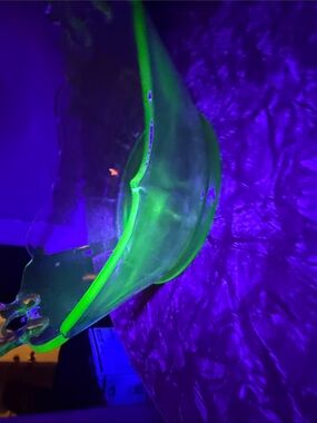 Vaseline glass bowl glows under uv light